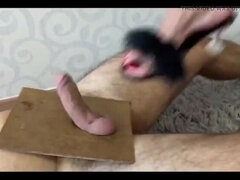 Füsse, Weibliche domination, Fußfetisch, Fussjob, Hd, Absätze, Portugiesisch, Sklave