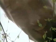 Culo, Gorda, Corridas, Linda, Polla, Francés, Grupo, Maduro