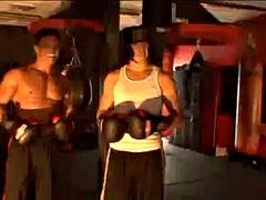 Briana boxing ft. Briana Banks: Blowjob, Doggy  Big Tits Porn