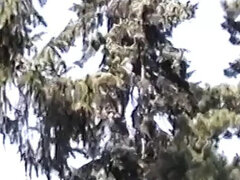 Europees, Volledige film, Duits, Hardcore, Oud