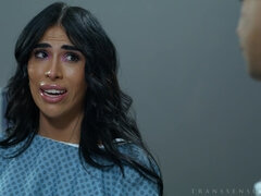 Анальный секс, Большой член, Грудастые, Собачьи, Геи, Секс без цензуры, Латиноамериканки, Трансы