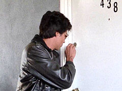 Hd, Peter north, Retro