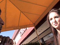 Grosser schwanz, Schwarz, Interrassisch