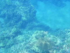 Amateur, Blonde, Sucer une bite, Petite amie, Nue, De plein air, Pov, Rasée