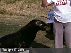 Prominente, Fetisch, Socken