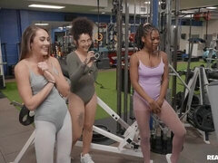 Tussi, Grosser schwanz, Blasen, Hundestellung, Sporthalle, Interrassisch, Natürlichen titten, Jungendliche (18+)