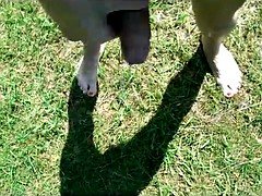 素人, 手コキする, アウトドア