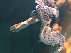 Big tits bouncing underwater in the pool