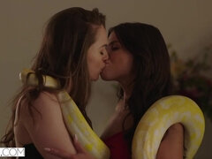 黒人, フェラチオ, 中出し, チン, なめる, オマンコ, 馬乗り, 三人