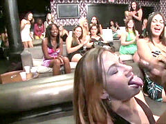 unbelievable blow-job soiree