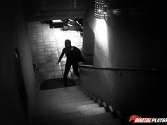 The Cat Burglar