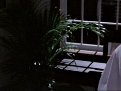 Tussi, Grosser schwanz, Blasen, Schwanz, Hardcore, Geld, Pornostars, Ablutschen