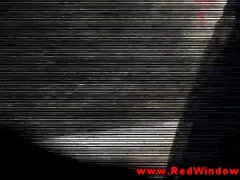 Real dutch whore sucks a sex tourist