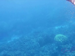 素人, ビーチ, ビキニ, フェラチオ, 露出狂, 彼女, オーガズム, 剃毛