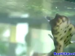 Большие сиськи, Измена, Постарше, Хд, Домохозяйки, Белье, Милф, Жена