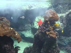 Enthousiasteling, Bruinharig, Fetisj, Voeten fetish, Hd, Latijnse vrouw, Buiten, Roken