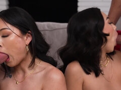 Asiático, Mamada, Morena, Corridas faciales, Grupo, Hd, Tetas naturales, Coño