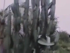 Садо мазо, Доминирование, Женщины, Винтаж