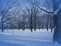 Amateur, Chica, Tetas grandes, Tetona, Fetiche, Casero, Tetas naturales, Tetas