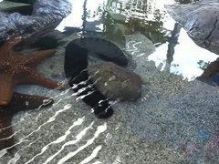 Любители, Большие сиськи, Минет, Брюнетки, Дрочка ногами, Подружка, Киски, Сосущие