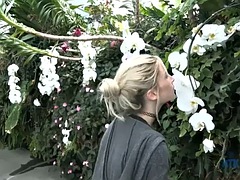 Asiatisch, Blondine, Besamung, Freundin, Hardcore, Pornostars, Pov, Ablutschen