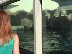 Bikini, Petite amie, Pov, Chatte, Rasée, Maigrichonne, Grande, Nénés