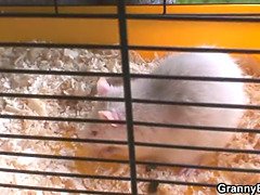 Постарше, Парочка, Бабушки, Зрелые, Реалити, Бритые