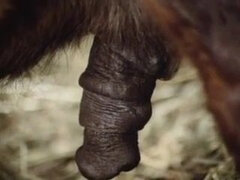 Catégorie - Hard