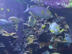 Morena, Despelote, Orgasmo, Al aire libre, Pov, Coño, Tetas, Voyeur