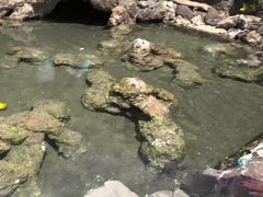 Playa, Pareja, Novia, Pov, Coño, Afeitado, Fumando, Tetas