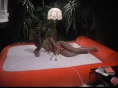 Bruinharig, Duits, Harig