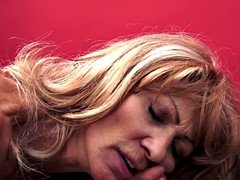 Leie, Hundestellung, Reif, Spielzeuge