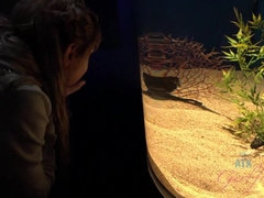 Strand, Badpak, Blond, Naakt, Gezichtspunt, Openbaar, Geschoren, Tieten likken