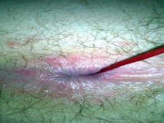 Amateur, Culo, Apretado, Juguetes