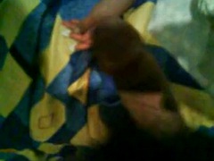 Leie, Hardcore, Mexikanisch, Flotter dreier