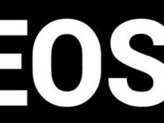 Arsch, Grosser arsch, Grosse titten, Vollbusig, Hardcore, Milf, Titten, Nass