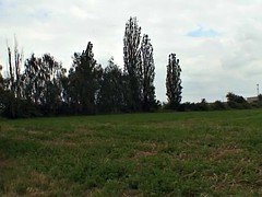 Double pénétration, Mamie, Mature, Mère que j'aimerais baiser, De plein air, Plan cul à trois