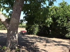 Любители, Блондинки, Платье, Ферма, Эксгибиционист, На природе, Бритые, Сиськи