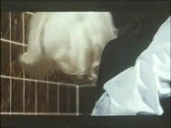 La Grande Baise (1977)