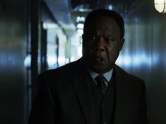 Amateur, Celebridad, Clasico