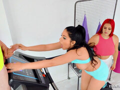 Dormitorio, Culo grande, Mamada, Morena, Gimnasio, Cocina, Trio