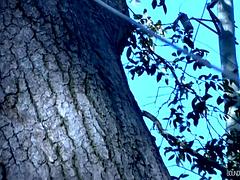 Homosexuelle, Mère que j'aimerais baiser, De plein air