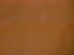 古典, ゲイ, おもちゃ, ヴィンテージ