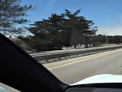 Grote lul, Pijpbeurt, Sperma, Grappig, Hardcore, Gezichtspunt, Openbaar, Zuigen