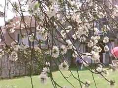 古典, レトロ, ヴィンテージ