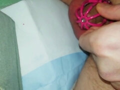 Dominatie, Homo, Vernedering, Klein