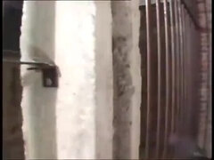Anal, Lamer culo, Rubia, Semen en la boca, Dominación, Europeo, Natural, Coño