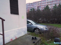 Bruinharig, Rondborstig, Hondjeshouding, Europees, Hardcore, Openbaar, Realiteit, Tieten likken