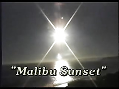 Britisch, Verrückt, Hardcore, Indisch