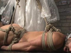 Bondage domination sadisme masochisme, Homosexuelle, Hard